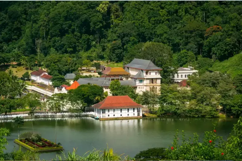 Highlights of Sri Lanka Tour Package